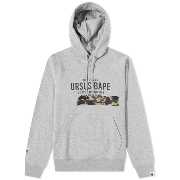 Photo: A Bathing Ape Ursus Tape Pullover Hoody