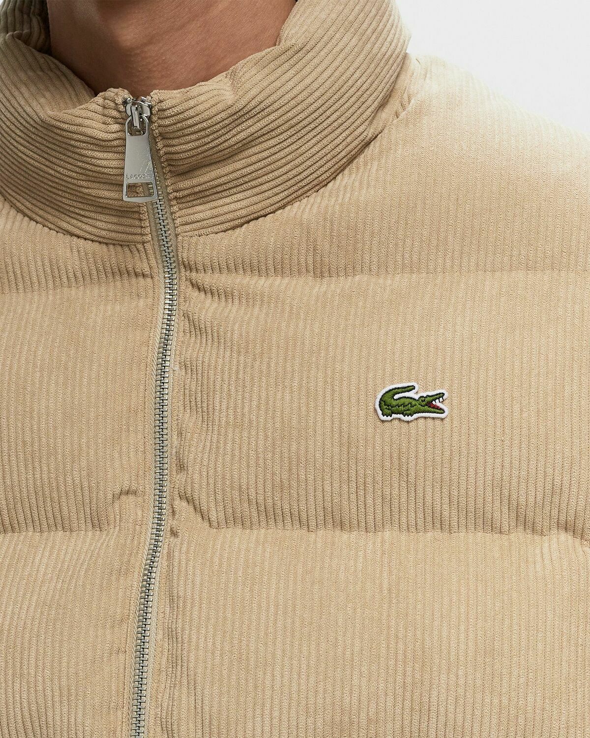 Lacoste Blouson Brown Down & Puffer Jackets
