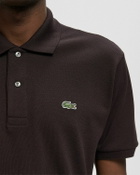 Lacoste POLOS Brown Men
