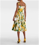 Dolce&Gabbana Floral cotton midi dress