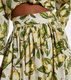 Adriana Degreas Printed cotton-blend maxi skirt