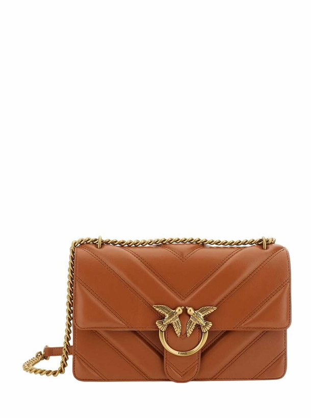 Photo: Pinko Love Bag Leather Crossbody Bag