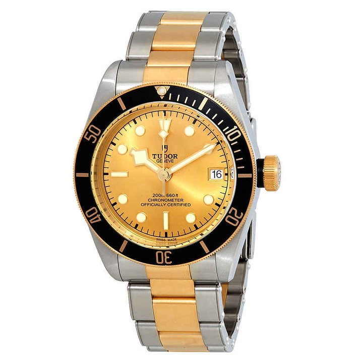 Photo: Tudor Black Bay Automatic 41 mm Champagne Dial Mens Watch M79733N-0004