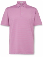 Peter Millar - Hales Performance Striped Tech-Jersey Golf Polo Shirt - Pink
