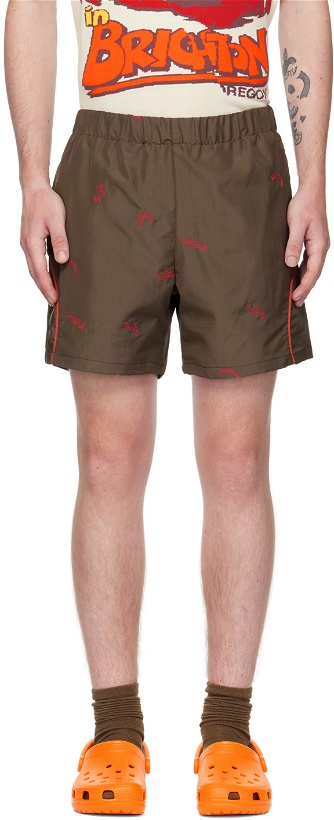 Photo: Robyn Lynch Brown Embroidered Shorts