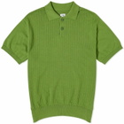 Polar Skate Co. Men's Miles Knit Polo Shirt in Garden Green
