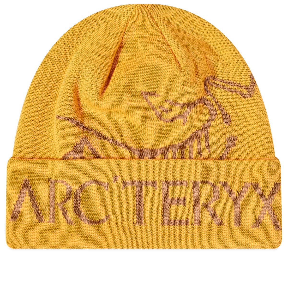 ARC'TERYX-BIRD WORD TOQUE YUKON/RELIC - Bonnet ski