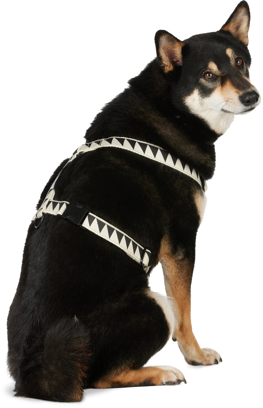 See Scout Sleep Off-White & Black Medium Nice Grill Standard Collar