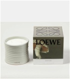 Loewe Home Scents Mushroom Medium scented candle