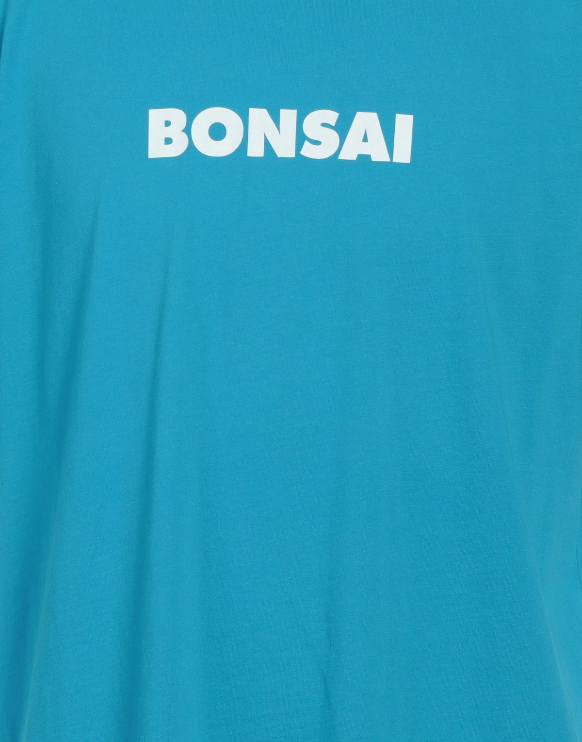 Bonsai Mens T-shirt Azure