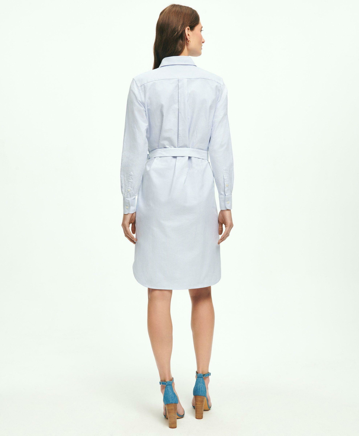 White Classic Oxford Long-sleeve Button Down Knee Length Shirtdress