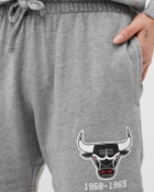 Mitchell & Ness Womens Logo Shorts Grey Sport & Team Shorts