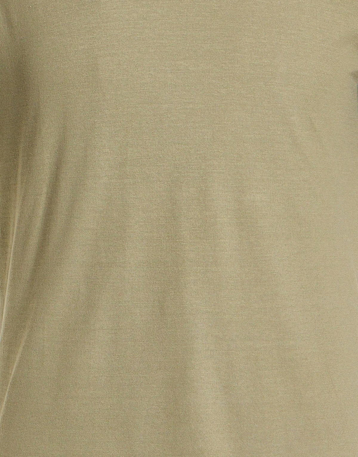 Lardini Mens T-shirt in Sage green