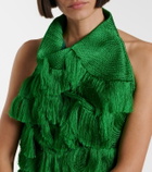 Xu Zhi Fringed asymmetric top
