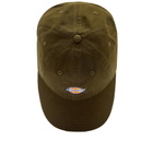 Dickies Women's Logo 6 Panel Cap in Military Green