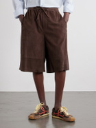 LOEWE - Paula's Ibiza Suede Casual Shorts - Brown