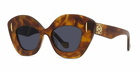 Loewe Lw40127i - Havana Sunglasses