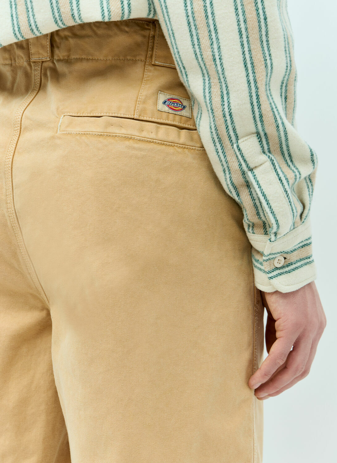 Dickies Holton Pants