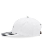 Bram's Fruit Men's Canopy Cap in White/Green Striped 