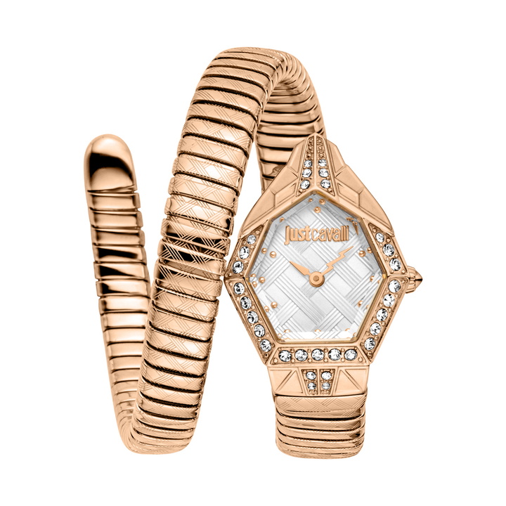Photo: Just Cavalli Fashion Silver-tone Dial Ladies Watch JC1L303M0045