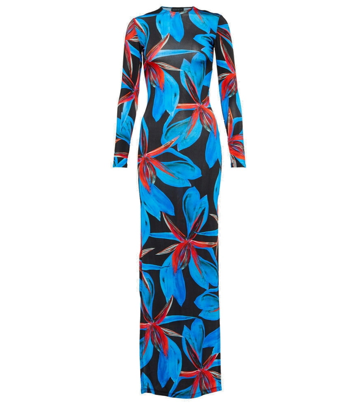 Photo: Louisa Ballou - Floral mesh maxi dress