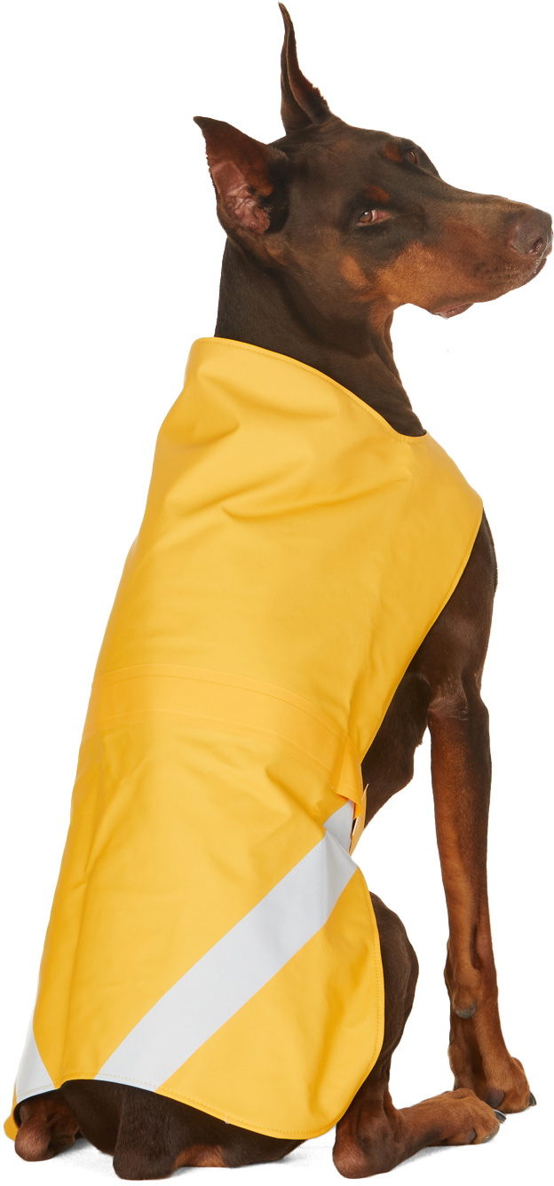 Stutterheim SSENSE Exclusive Yellow Lightweight Dog Raincoat