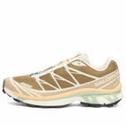 Salomon XT-6 Sneaker