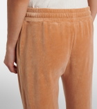 Chloé Cotton-blend velour sweatpants