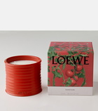 Loewe Home Scents Tomato Leaves Medium candle