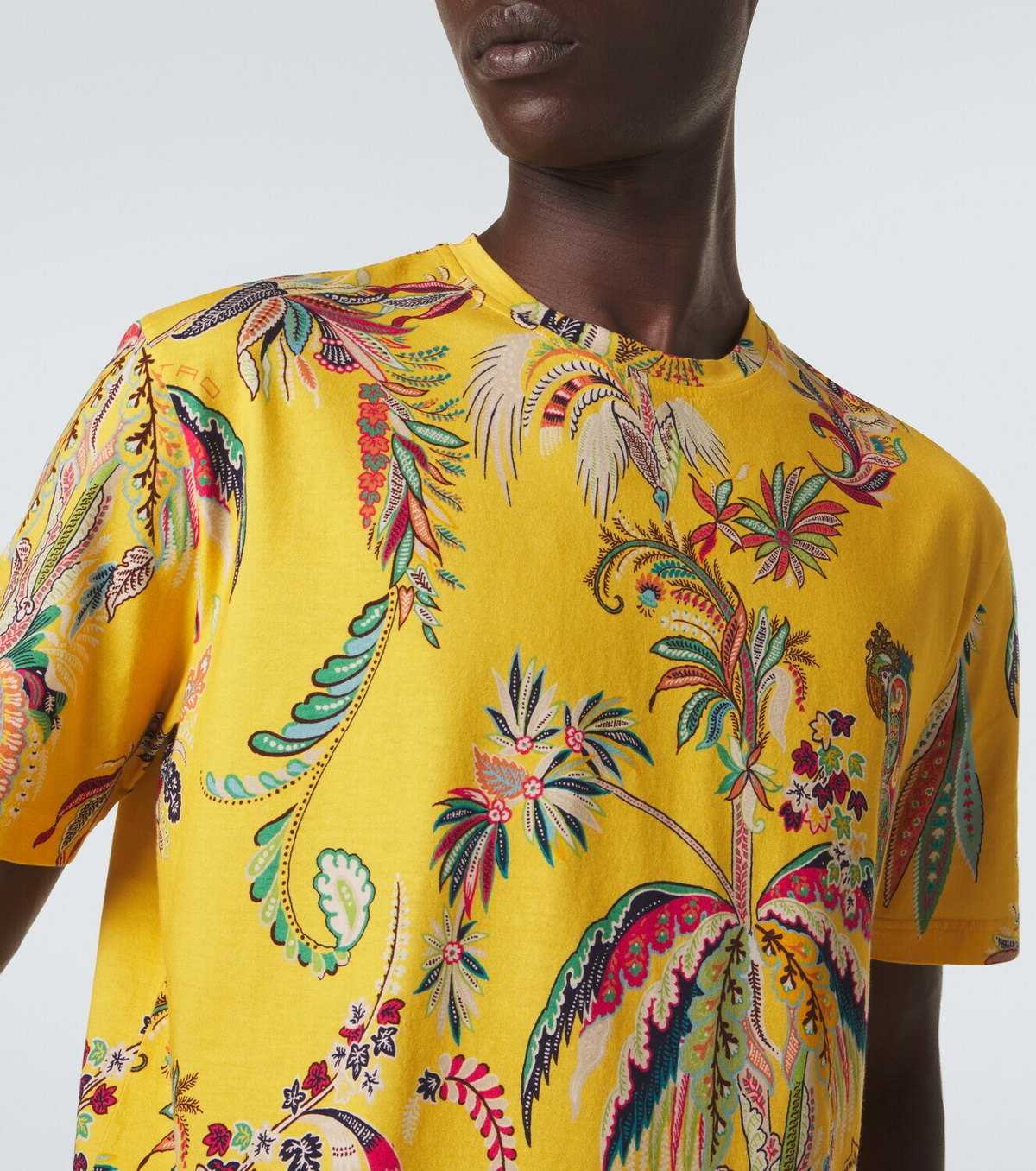 Etro Printed cotton jersey T-shirt