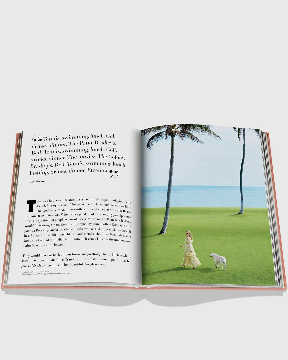 Assouline "Palm Beach" By Aerin Lauder Multi - Mens - Travel Assouline