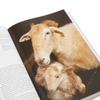 Taschen The New York Times. Cultured Traveler. 100 Trips for Curious in Barbara Ireland 