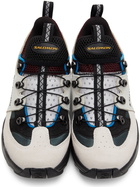 Salomon Multicolor Raid Wind Advanced Sneakers