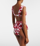 Alexandra Miro Zella floral bikini top