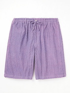 Kardo - Straight-Leg Crochet-Knit Cotton Drawstring Shorts - Purple