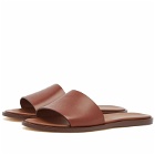Woman by Common Projects Women's Leather Slides in Brown
