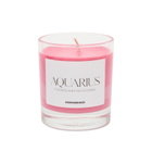 Horosoaps Aquarius Candle 