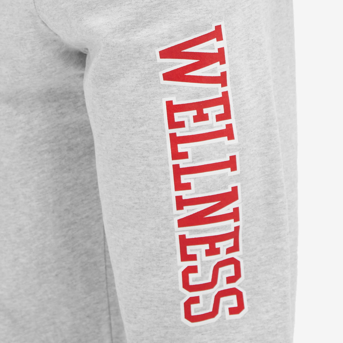 Sporty & Rich Men's Wellness Ivy Sweat Pants in Heather Grey/Sports Red