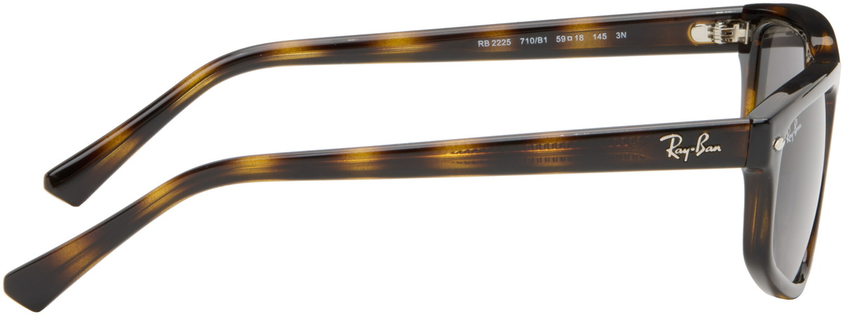 Ray-Ban Brown RB2225 Sunglasses