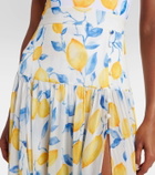 Alexandra Miro Jamie sheer maxi skirt