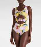 Alexandra Miro Beth floral cutout swimsuit