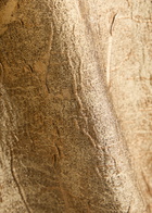 Rebecca Vallance Solana Brocade Woven Gown Gold