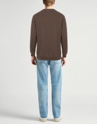 Crossley Mens Sweatshirt in Brown
