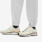 Salomon Men's XT-6 Sneakers in Aloe Washm/Hazelnut/Feather Gray