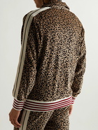 Palm Angels - Logo-Print Striped Leopard-Print Velour Half-Zip Track Jacket - Animal print