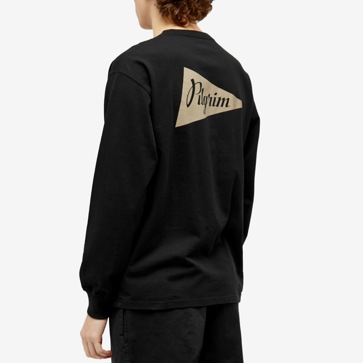 Pilgrim Surf + Supply Men's Long Sleeve Zambia Pennant T-Shirt in Black