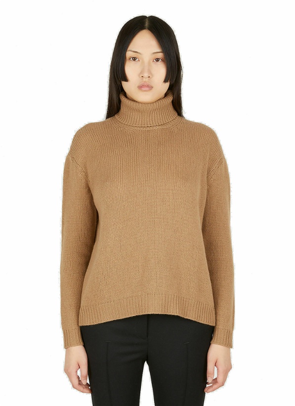 Photo: Roll Neck Sweater in Brown