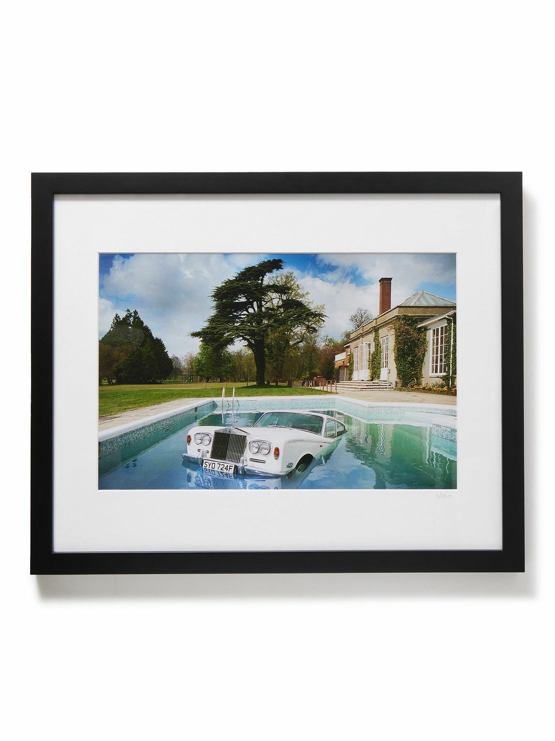 Photo: Sonic Editions - Framed 1997 Rolls in the Pool Print, 16&quot; x 20&quot;