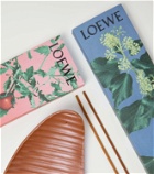 Loewe Home Scents Tomato Leaves incense set