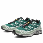 Salomon XT-6 Sneaker in Bistro Green/Green Milieu/Black